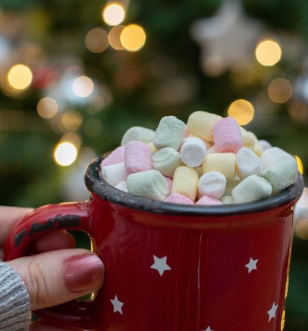 POSYPKA MIKRO PIANKI MARSHMALLOW MIX NA TORT DO DESERÓW LODÓW 50g /9mm na Arena.pl