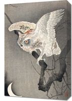Obraz 40x60cm Scops Owl in Moonlight, Koson Japoński Vintage do Salonu