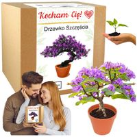 PREZENT NA WALENTYNKI dla Niej dla Niego DRZEWKO SZCZĘŚCIA prezent dla mamy