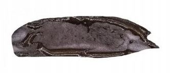 Thuya Farba do brwi i rzęs Deep Black Intensywnie Czarna AGRAN KERATIN 14ml na Arena.pl