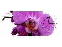 100X40CM ZEGAR FIOLETOWY STORCZYK OBRAZ