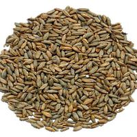 Słód żytni  3-8 EBC Weyermann 0.5 kg