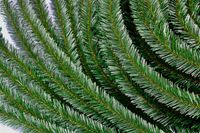 product-compare-57492189