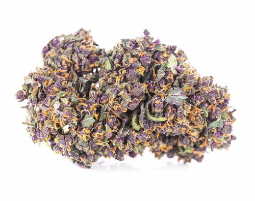 Susz konopny Purple Haze SUPER AMSTERDAM CBD 50g na Arena.pl