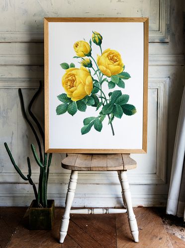 Plakat żółta róża vintage 30x40 cm na Arena.pl