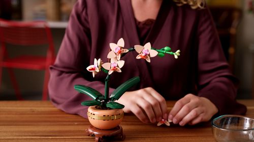 LEGO(R) BOTANICALS 10343 Mała orchidea na Arena.pl