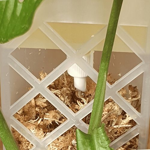 SPHAGROW AQUADRIP Nawadniacz kropelkowy do palika SPHAGROW D-6-25 na Arena.pl