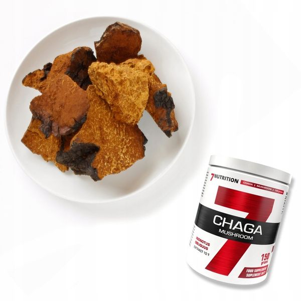 Lions mane soplówka jeżowata Chaga Cordyceps Reishi Grzyby mushroom proszek zdjęcie 16