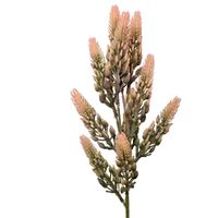 Dodatek gumowany różowy