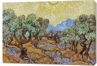 Obraz 100x70cm Olive Trees, Van Gogh Vintage do Salonu