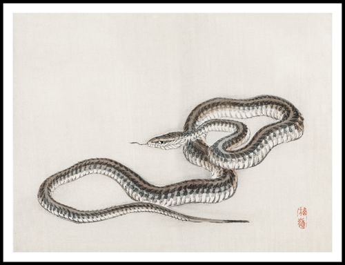 Plakat 100x75cm Snake, Kōno Bairei na Arena.pl
