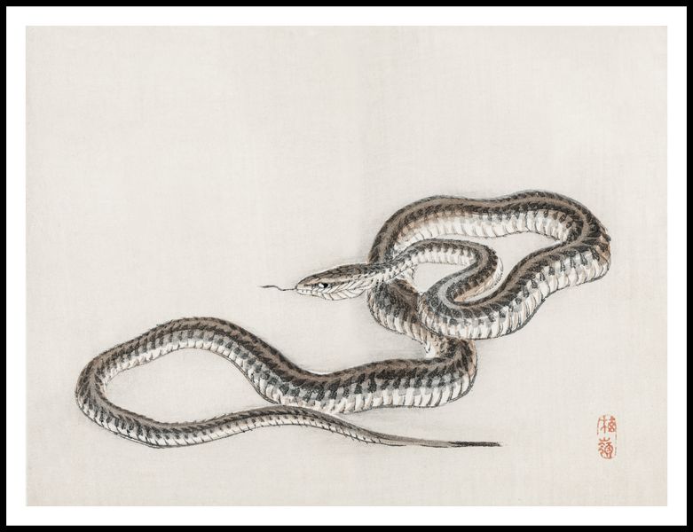 Plakat 100x75cm Snake, Kōno Bairei zdjęcie 3