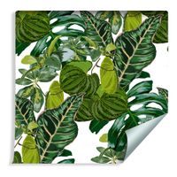 Tapeta W Rolce Do Salonu Liście Egzotyczne Rośliny Natura