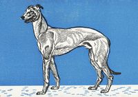 Plakat 29,7x21cm Chart 2, Moriz Jung Vintage do Salonu