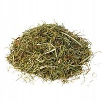 Sieczka Bez Lucerny Susz Pasza Dla Koni Konia Witaminy 13 kg Healthy Grass
