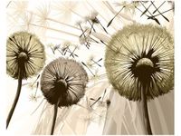 product-compare-58645611