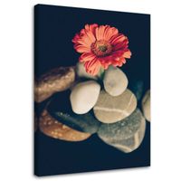 OBRAZ NA PŁÓTNIE Gerbera Kwiat Kamienie