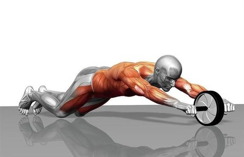 Koło - wałek do ćwiczeń K4567 na Arena.pl