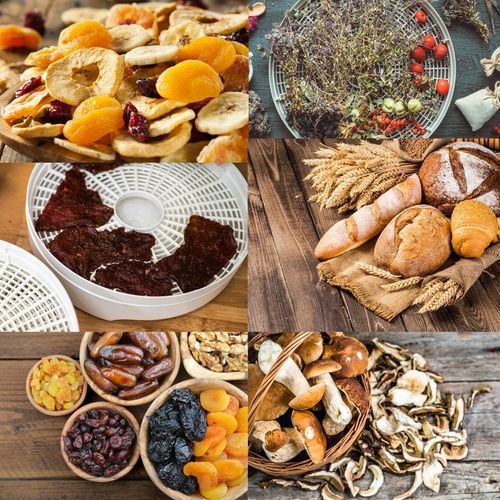 SUSZARKA DO GRZYBÓW OWOCÓW WARZYW REGULACJA ZIÓŁ na Arena.pl