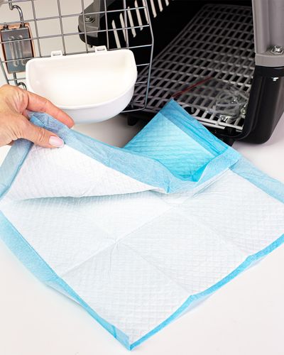 Transporter Dla Zwierząt Z Akcesoriami Klatka Kojec Box Duży na Arena.pl