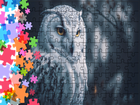 Puzzle tradycyjne Zwierzęta - Sowa