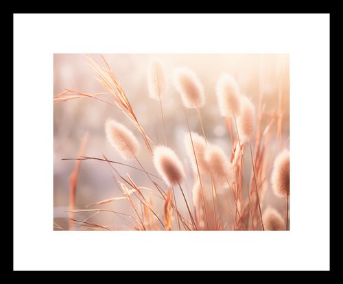 Plakat 20x15cm Kwiaty Słońca na Arena.pl