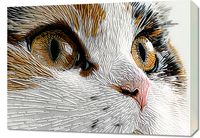 Obraz 70x50cm Nitkowany Kot