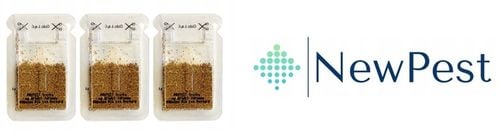 TRUTKA NA MRÓWKI FARAONA KARMNIK Z GRANULATEM PROTECT NEWPEST 3 SZTUKI na Arena.pl