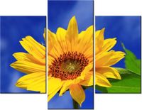 product-compare-58682089