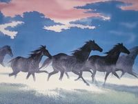 Plakat 80x60cm Wolność i Swoboda