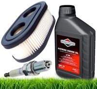 OLEJ DO KOSIARKI SILNIK CZTEROSUWOWY SAE 30 0,6L BRIGGS&STRATTON 100005E