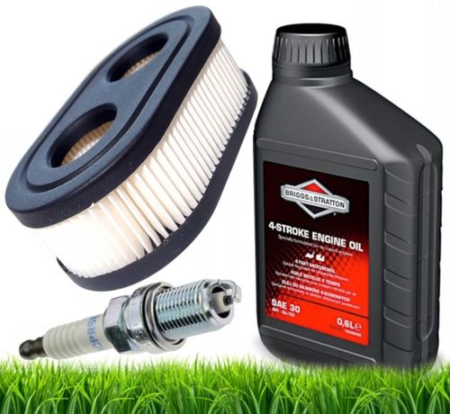 OLEJ DO KOSIARKI SILNIK CZTEROSUWOWY SAE 30 0,6L BRIGGS&STRATTON 100005E na Arena.pl
