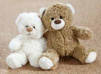 FOTOTAPETA dziecięca MISIE PLUSZAKI MIŚ 200x130