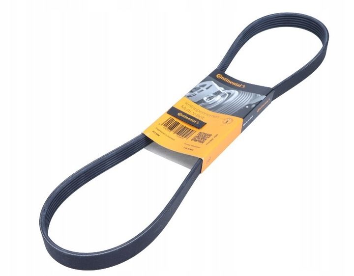 PASEK WIELOROWKOWY zdjęcie 7