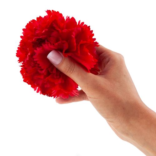 Goździk Wyrobowy Główka Sztuczne Kwiaty Jak Żywe Do Stroików Czerwony na Arena.pl