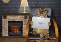 FOTOTAPETA deski widok do salonu kot 3D 200x130