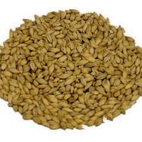 Słód Caramunich (R) typ II 110-130 EBC Weyermann (R) - 1 kg