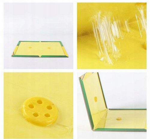 LEP NA MYSZY SILNA PUŁAPKA NA SZCZURY GRYZONIE MYSZOŁAPKA KLEJ ŁAPKA na Arena.pl