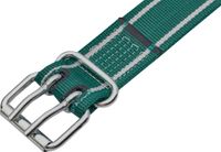 Obroża dla byka Classic, 150 x 5 cm, biały/zielony, Kerbl