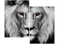 80X70CM LWIE SPOJRZENIE DUO OBRAZ