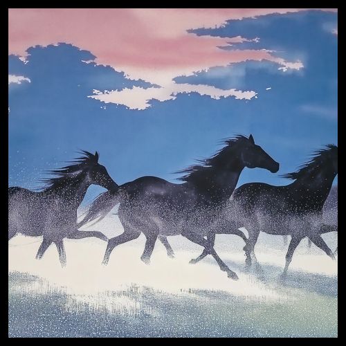 Plakat 60x60cm Wolność i Swoboda na Arena.pl