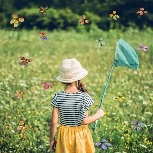 20X NAKRĘCANE LATAJĄCE MOTYLE SZTUCZKA MAGICZNA PREZENT DLA DZIECKA ZABAWA na Arena.pl