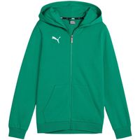 Bluza dla dzieci Puma teamGoal Casuals Hooded zielona 658596 05 140 cm