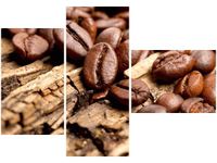 OBRAZ ZIARNISTA KAWA BARISTY