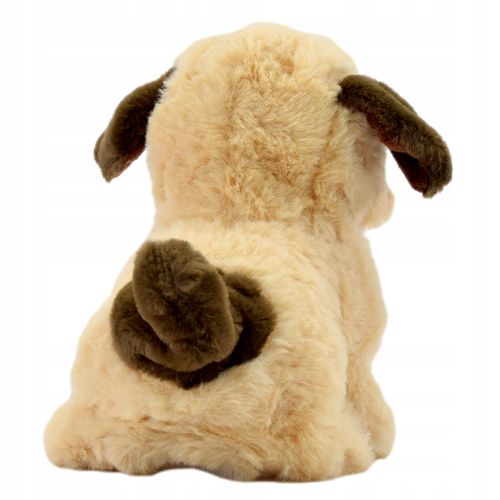 PIES ZABAWKI INTERAKTYWNE MASKOTKA CHODZĄCY PIESEK KOLORY DLA DZIECI na Arena.pl