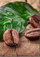 product-compare-58710071