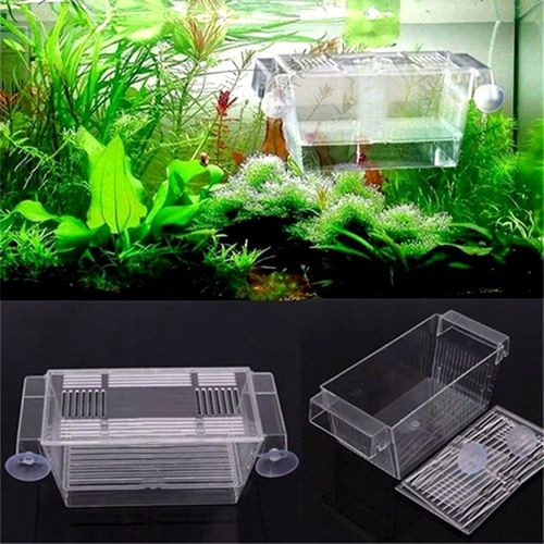 Kotnik Plastikowy dla Ryb Rozmiar L 22,5x9,5x10cm Dwie Komory DUŻY na Arena.pl