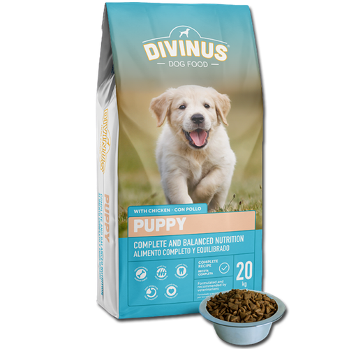 Divinus Puppy dla szczeniąt 20kg na Arena.pl