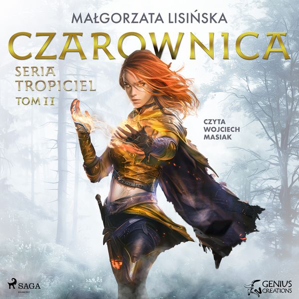 (mp3) Czarownica zdjęcie 1