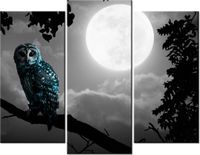 product-compare-58672746